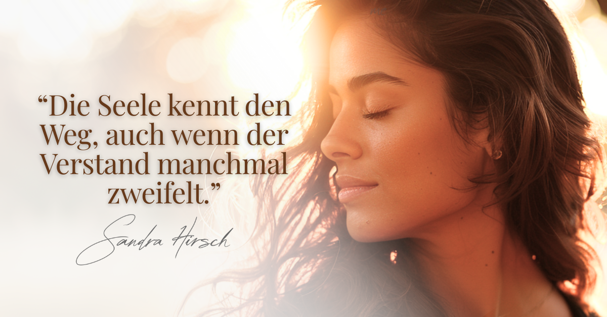 Seelenplan Report einfach erklärt: Was steckt dahinter?